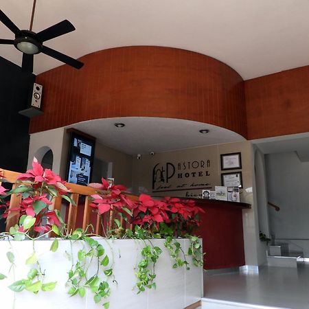 Hotel Pastora Córdoba Exterior foto